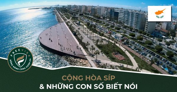 Síp và những con số biết nói