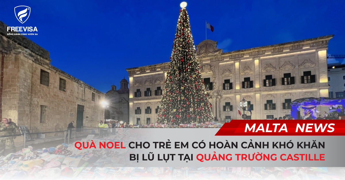 Quà tặng dưới gốc cây Castille. Ảnh: Chris Sant Fournier