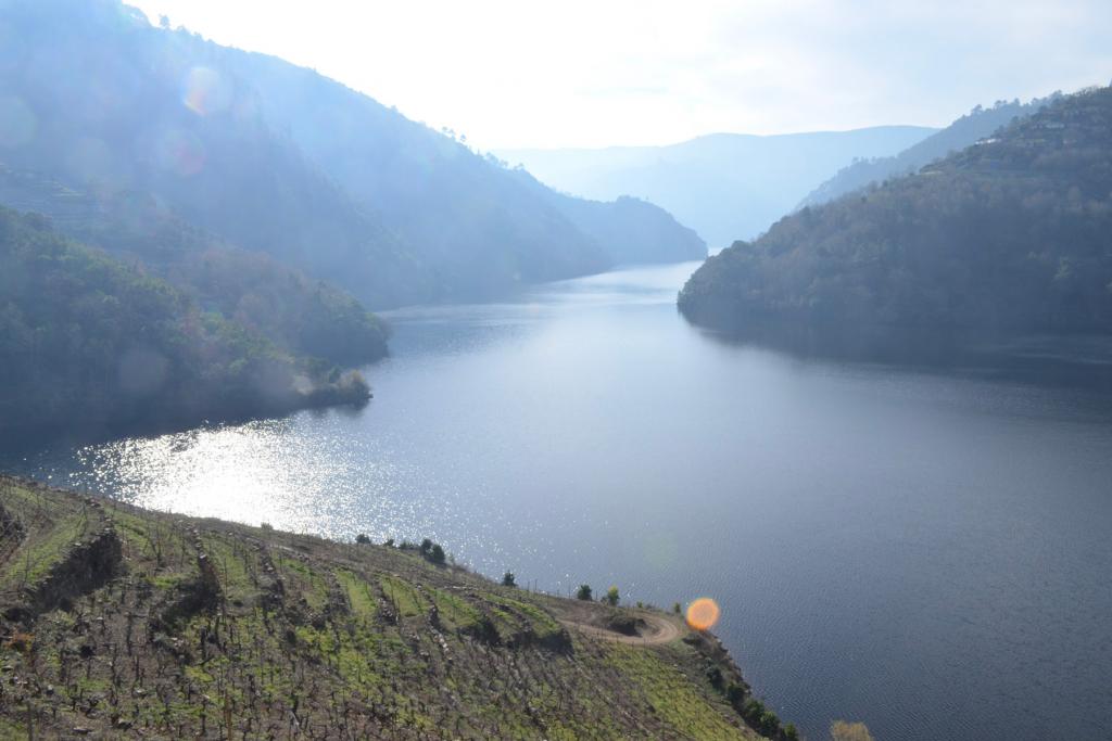 Những vườn nho dốc đứng ven sông Ribeira Sacra chỉ là một kiểu cảnh quan bạn sẽ tìm thấy ở Galicia. (©Rượu vang Tây Ban Nha đơn giản 2024)