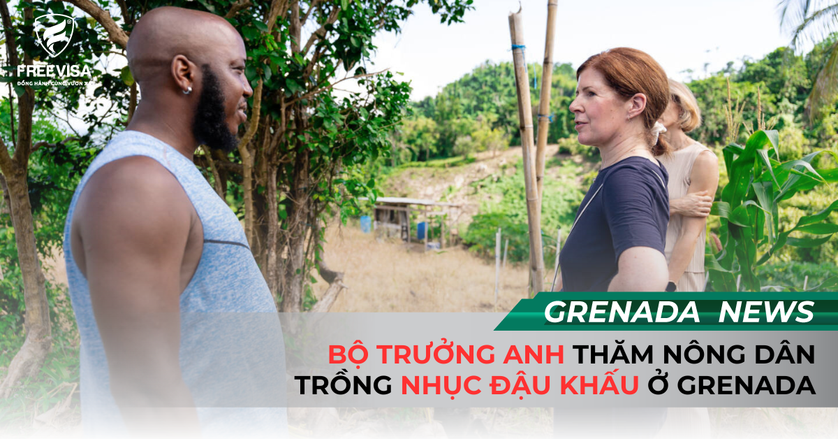 Bộ Trưởng Anh Thăm Nông Dân Trồng Nhục Đậu Khấu Ở Grenada