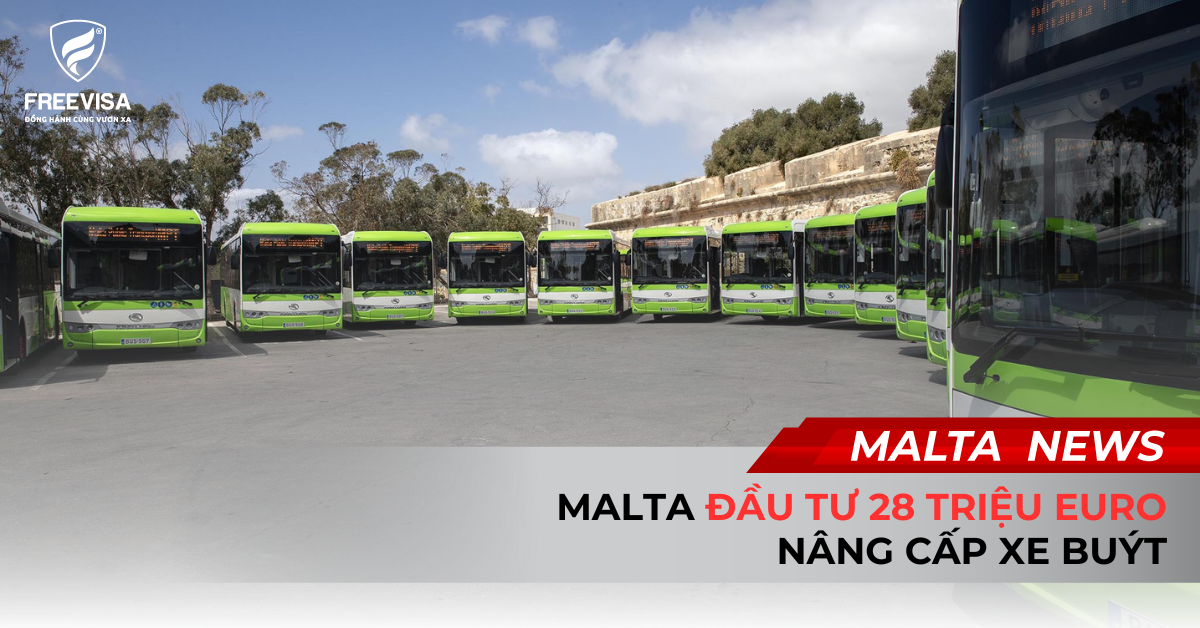 Malta Đầu Tư 28 Triệu Euro Nâng Cấp Xe Buýt