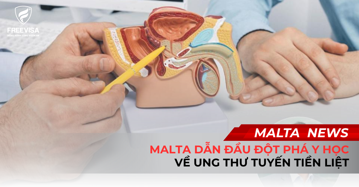 Malta Dẫn Đầu Đột Phá Y Học Về Ung Thư Tuyến Tiền Liệt
