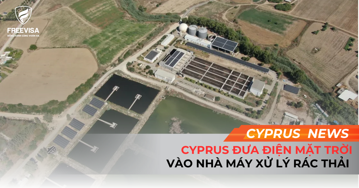 Cyprus Đưa Điện Mặt Trời Vào Nhà Máy Xử Lý Nước Thải